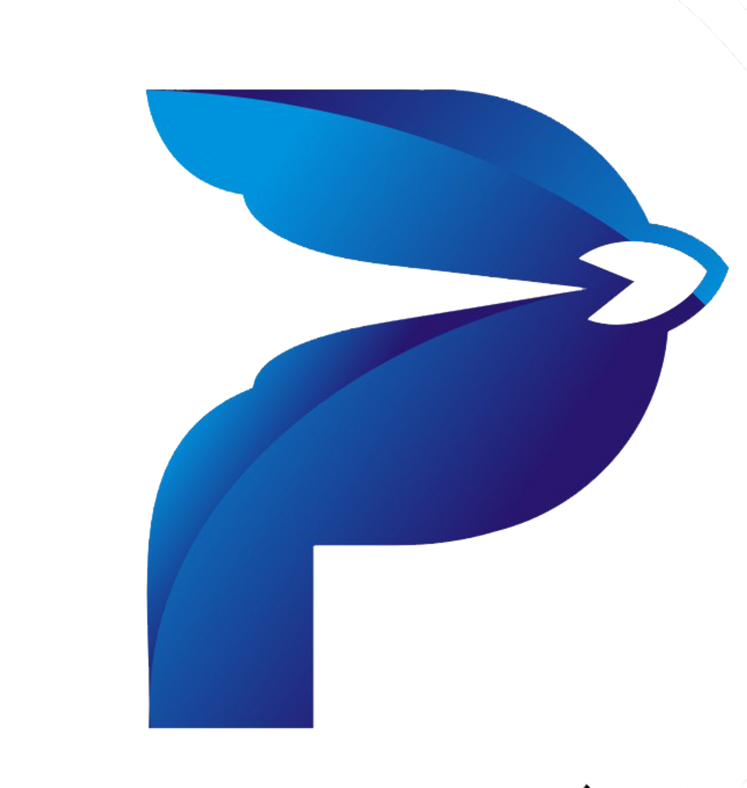 Logo Planet computer