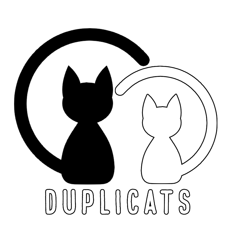 Logo Duplicats Studio