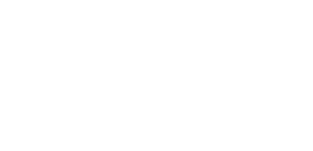 Logo Eleven Bridal