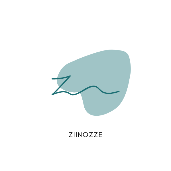 Logo ziinozze
