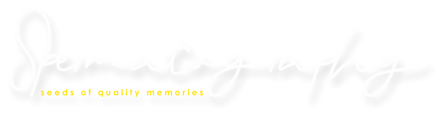 Logo potovideography