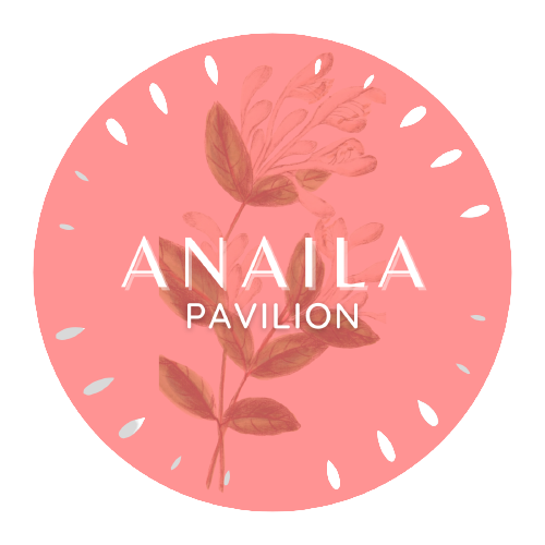 Logo Anaila Wedding