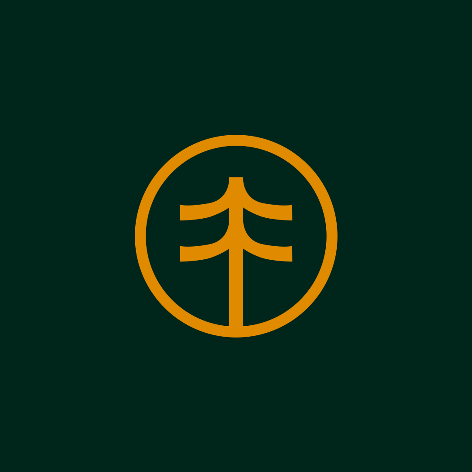Logo Pinus Studio