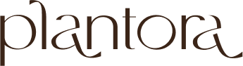 Logo Plantora 