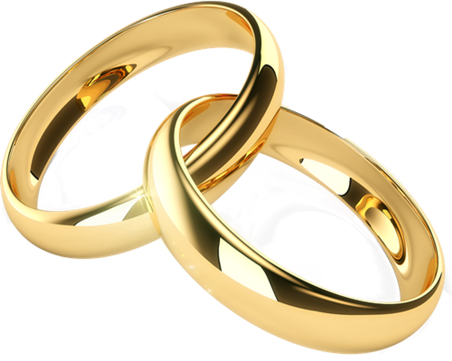 Logo Wulan and Aldi Wedding