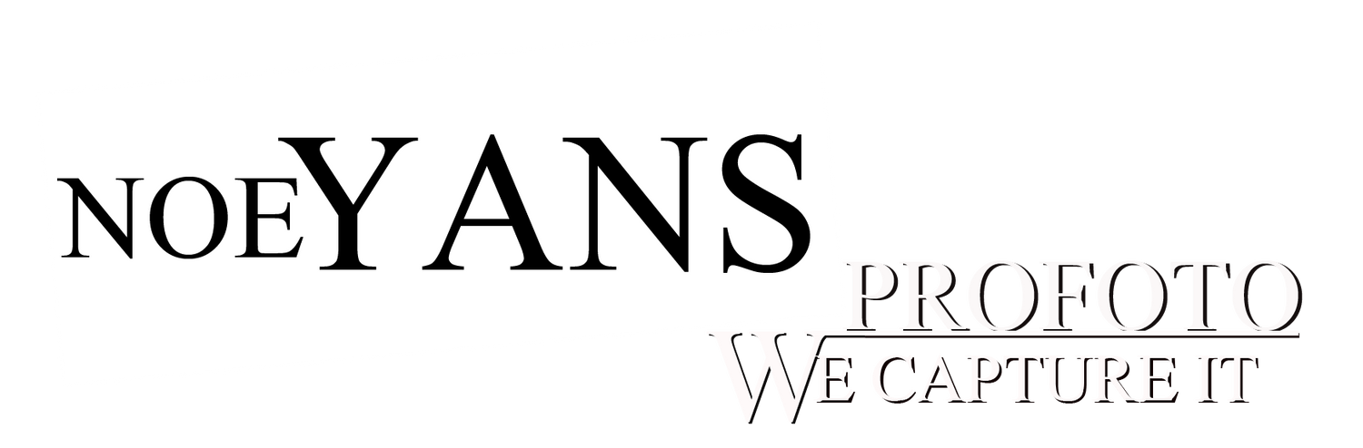 Logo NoeYans Profoto