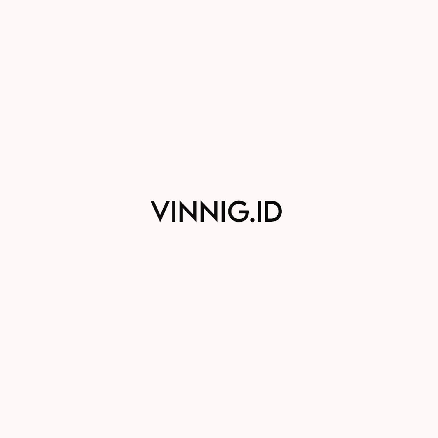 Logo vinnig.id