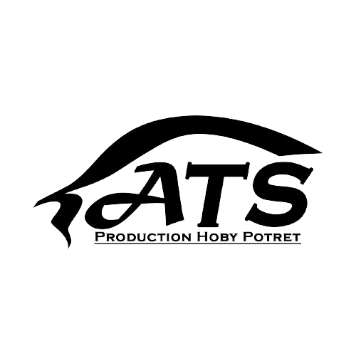 Logo Audityar_studio